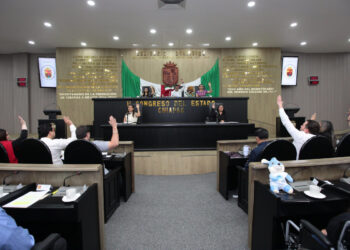 Pide Congreso intensificar programas de reforestación en municipios