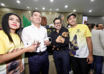 Congreso endurece sanciones para quienes cometan maltrato animal