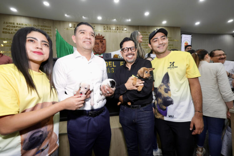 Congreso endurece sanciones para quienes cometan maltrato animal