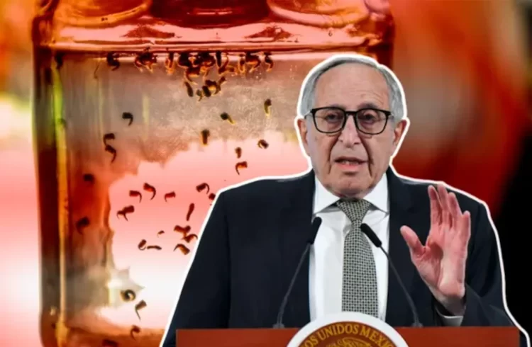 Cinco estados concentran los casos de dengue; SSA desarrollará vacuna