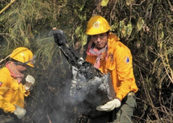 Se combate de manera exitosa incendio forestal en la Selva Lacandona: PC