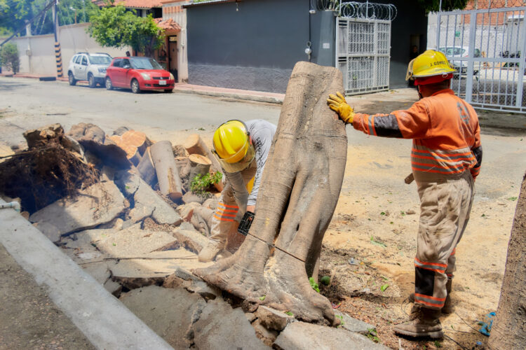 Prevalecen condiciones de lluvias muy fuertes a intensas en Chiapas