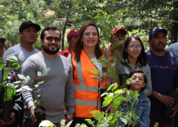 Preside Fabiola Ricci jornada de reforestación en el parque ecoturístico Montetik de SCLC
