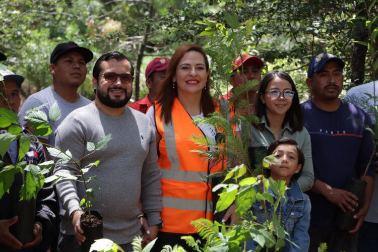 Preside Fabiola Ricci jornada de reforestación en el parque ecoturístico Montetik de SCLC