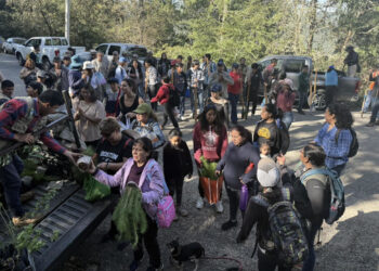 Realizan jornada de reforestación en San Cristóbal