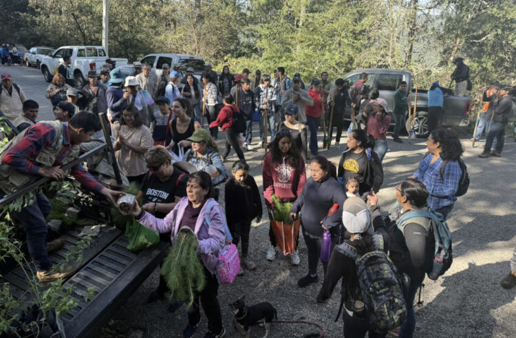 Realizan jornada de reforestación en San Cristóbal