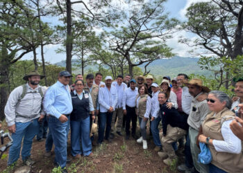 Chiapas avanza hacia el liderazgo nacional en conservación ambiental