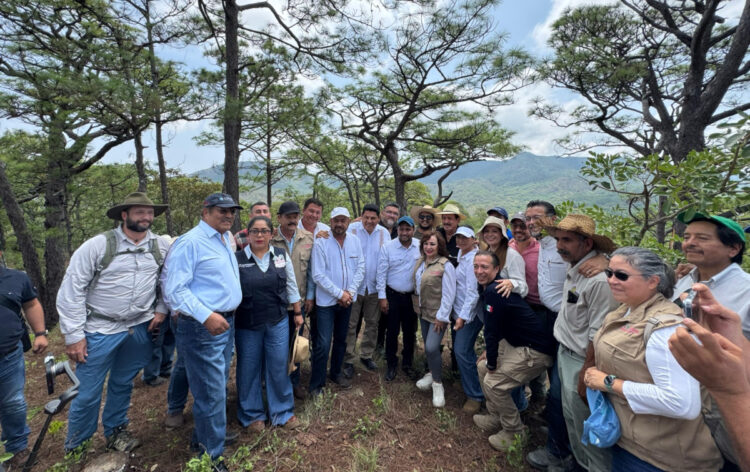 Chiapas avanza hacia el liderazgo nacional en conservación ambiental