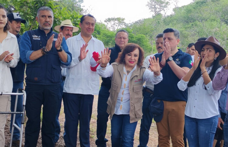 Semahn arranca campaña estatal de reforestación “Raíces de mi tierra”