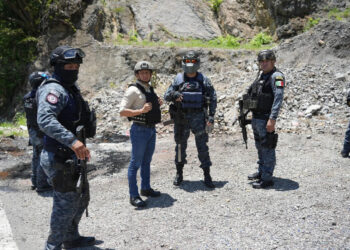 No vamos a permitir que nos quiten la paz: Aparicio Avendaño