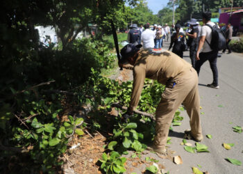 Se realiza con gran éxito jornada de limpieza Ciudad Digna en Tapachula
