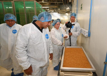 Eduardo Ramírez agradece apoyo de Claudia Sheinbaum para combatir el gusano barrenador en Chiapas