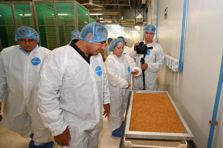 Eduardo Ramírez agradece apoyo de Claudia Sheinbaum para combatir el gusano barrenador en Chiapas