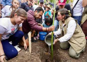 Asiste Eduardo Ramírez a inicio de la reforestación ‘Siembra con conciencia’