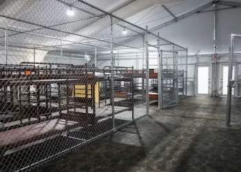 Hay 14 paisanos presos en la megacárcel de Florida 