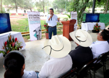 Mantiene Chiapas estrategia coordinada con la Federación, contra el gusano barrenador