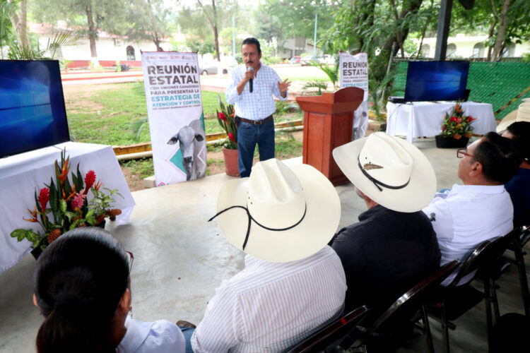 Mantiene Chiapas estrategia coordinada con la Federación, contra el gusano barrenador