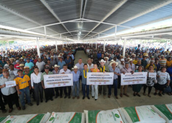 Hoy Chiapas tiene otra cara; es un estado seguro para vivir: Aparicio Avendaño