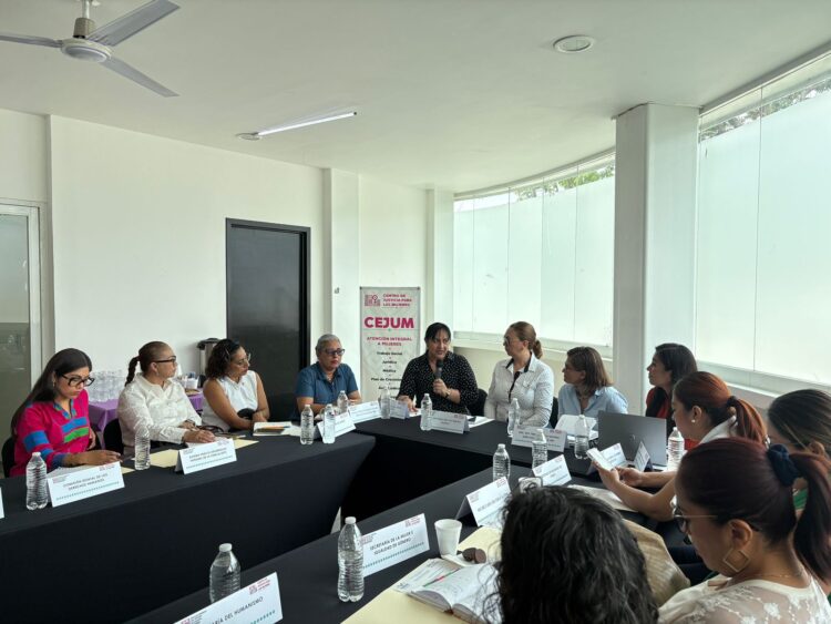 FGE participa en la 2ª Reunión de Trabajo de la Coordinación Interinstitucional del Cejum