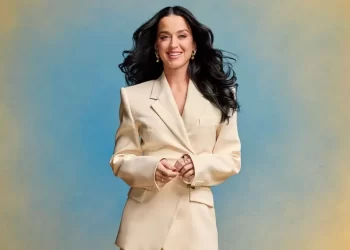 Katy Perry deja el show para salvar a un fan y conmueve a todo el mundo