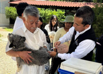 La rabia es una enfermedad en monitoreo permanente: SS