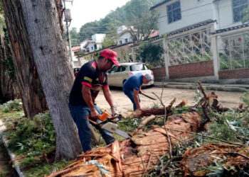 Refuerzan seguridad con limpieza de arbolado urbano en San Cristóbal