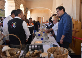 Se realiza la Feria del Hongo Silvestre 2025 en San Cristóbal