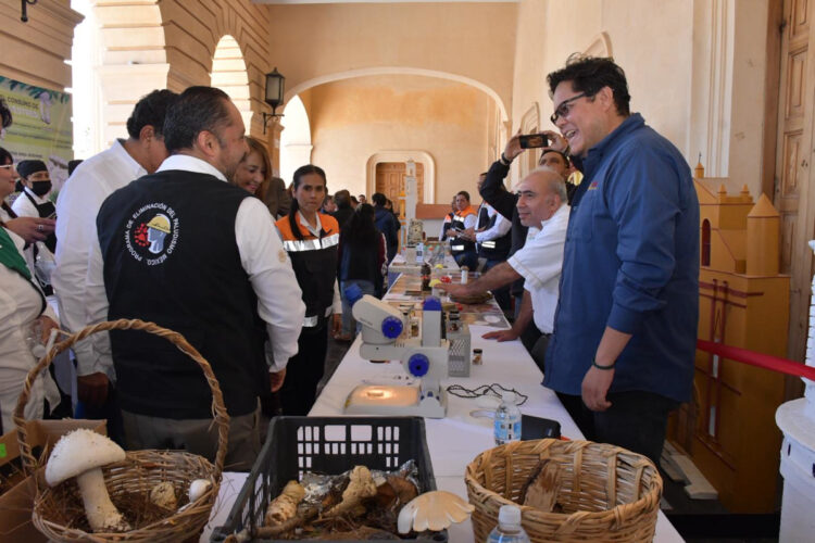 Se realiza la Feria del Hongo Silvestre 2025 en San Cristóbal