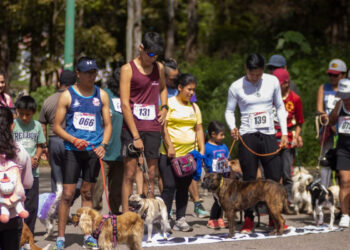 Se realizará la Carrera Perrotón 2025 en SCLC