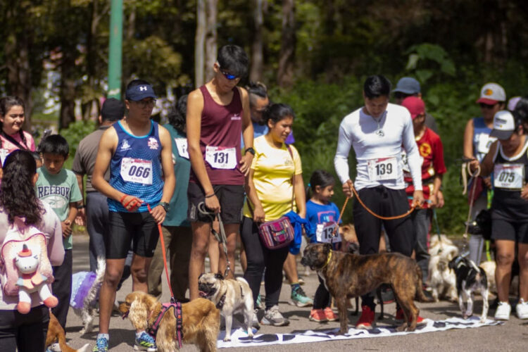 Se realizará la Carrera Perrotón 2025 en SCLC