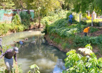 Ayuntamiento de San Cristóbal realiza trabajos de deshierbe en márgenes del Río Amarillo