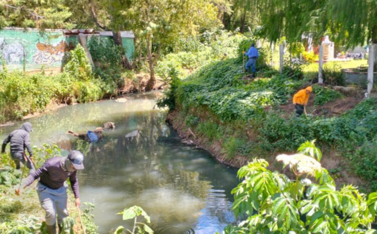 Ayuntamiento de San Cristóbal realiza trabajos de deshierbe en márgenes del Río Amarillo