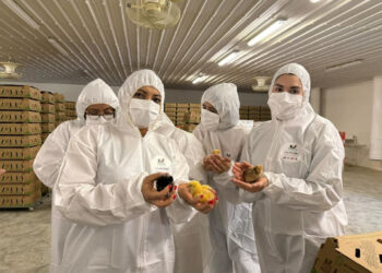 Voluntariado de la SSP fortalece lazos de humanismo con Incubadora Villaflores