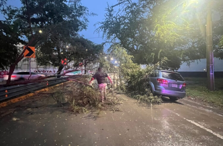SSP brinda apoyo a conductores durante el Operativo A.R.C.A.