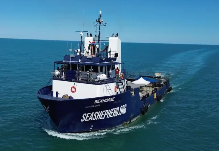 Arranca Crucero de Observación Vaquita Marina 2025