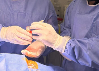 Activa IMSS Chiapas Código Vida con procuración de córneas