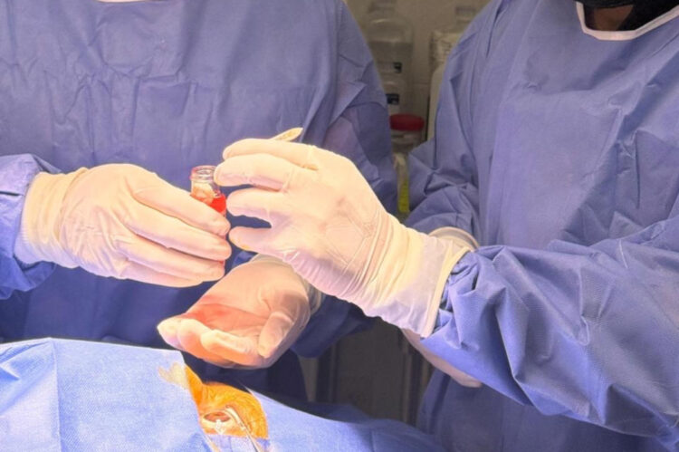 Activa IMSS Chiapas Código Vida con procuración de córneas