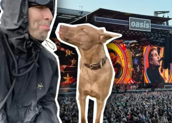 Buttons: la perrita que Liam Gallagher adoptó y que hoy aparece en los conciertos de Oasis