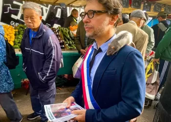Político aliado de Ratatouille en París; las ratas ‘son de utilidad’