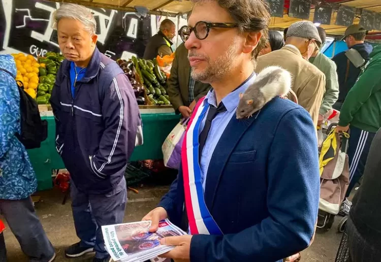 Político aliado de Ratatouille en París; las ratas ‘son de utilidad’