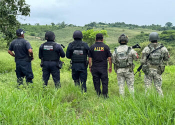 Operativo interinstitucional restituye predios en el municipio de Ocosingo