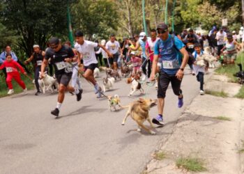 Éxito total en el Perrotón 2025 ‘Tradición Coleta’ en San Cristóbal