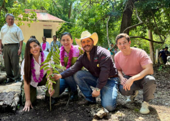Sembrar un árbol es sembrar futuro: Moreno Martínez