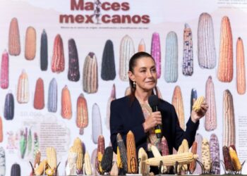 Claudia Sheinbaum anuncia programa ‘Sin maíz no hay país’ para producir con bienestar