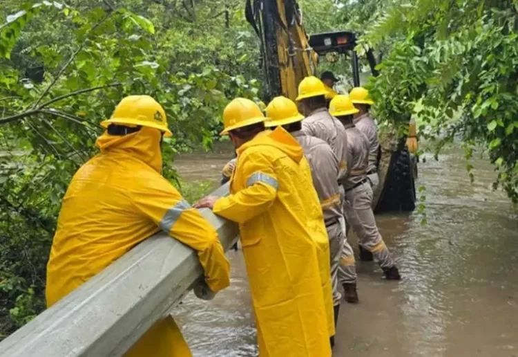CFE restablece 84% de suministro eléctrico a afectados por lluvias