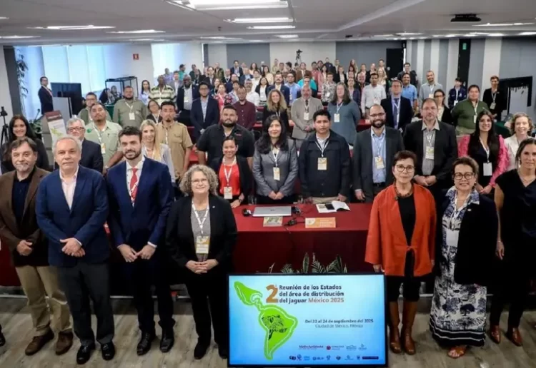 Países de América acuerdan puntos clave para la conservación del jaguar