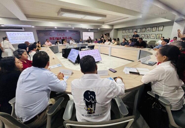 Presenta Gobierno de Chiapas propuestas de acciones para proteger derechos de población con autismo