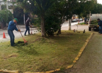 Avanza programa de embellecimiento urbano