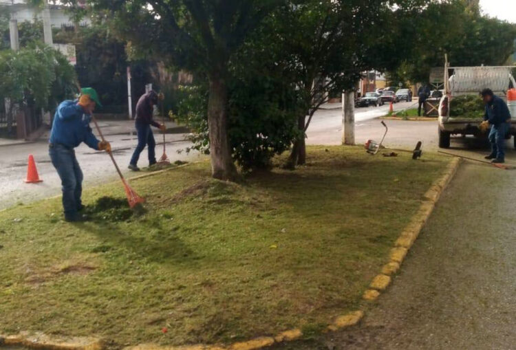 Avanza programa de embellecimiento urbano