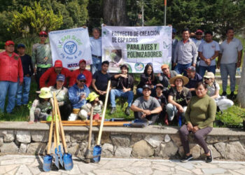 Realizan plantación de jardines para aves y polinizadores en San Cristóbal